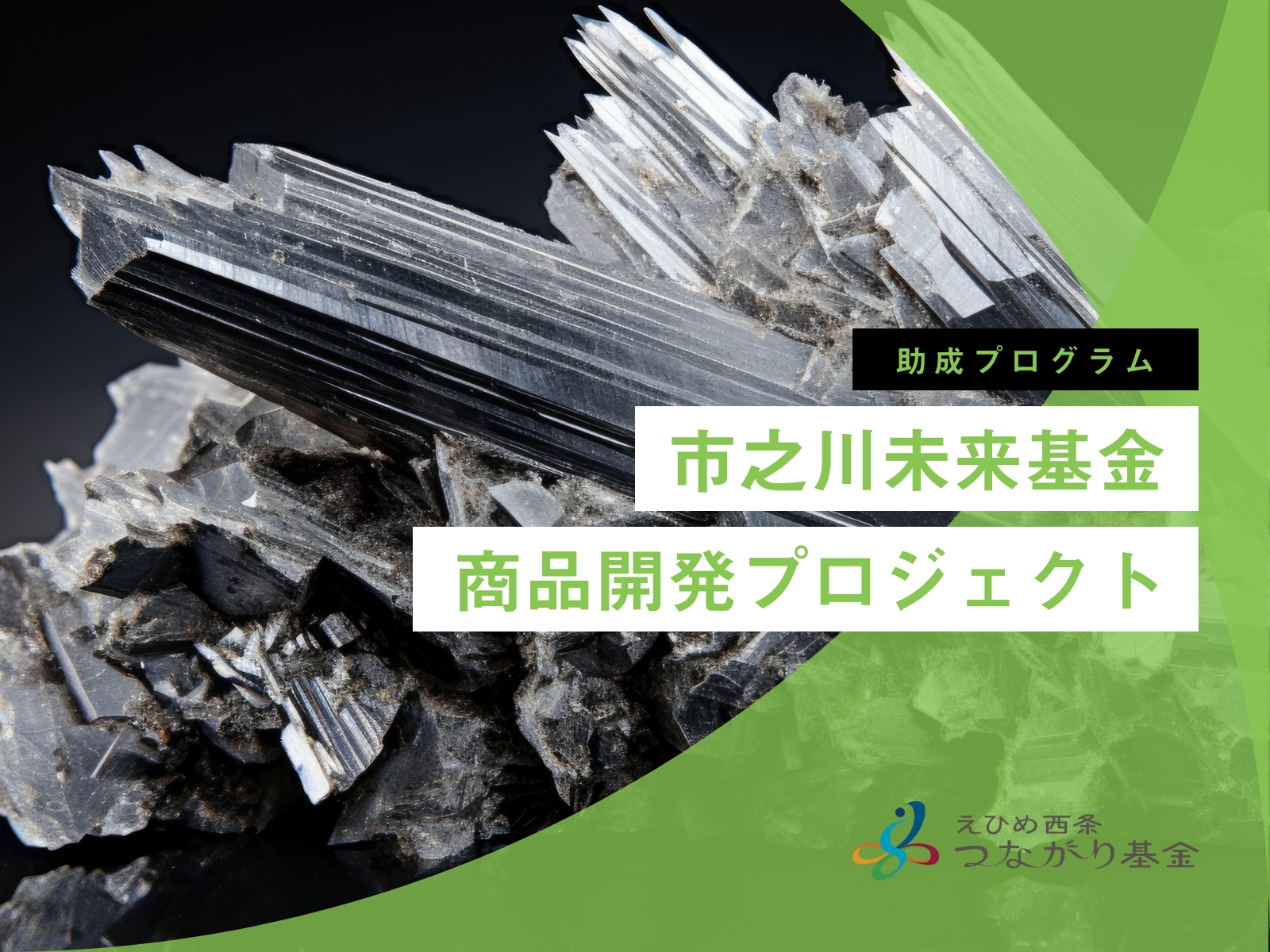 市之川未来基金　商品開発プロジェクト